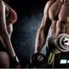 Download Fitness Model Transformation