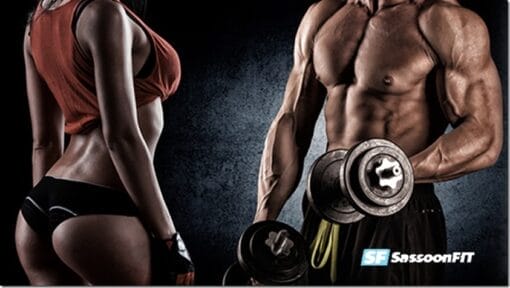 Download Fitness Model Transformation