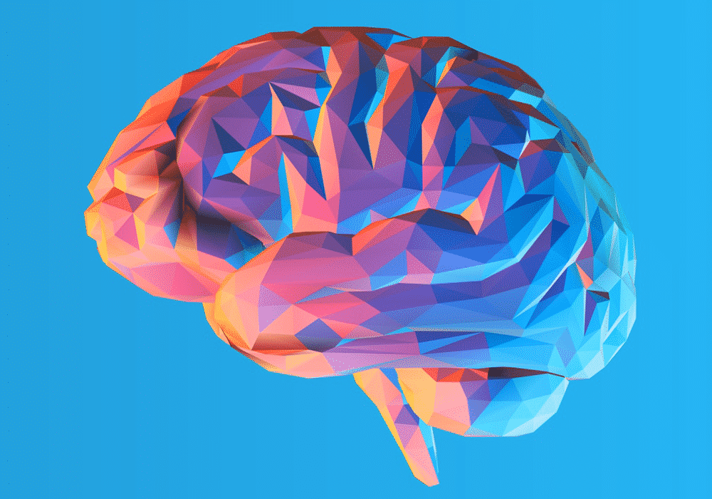 brain