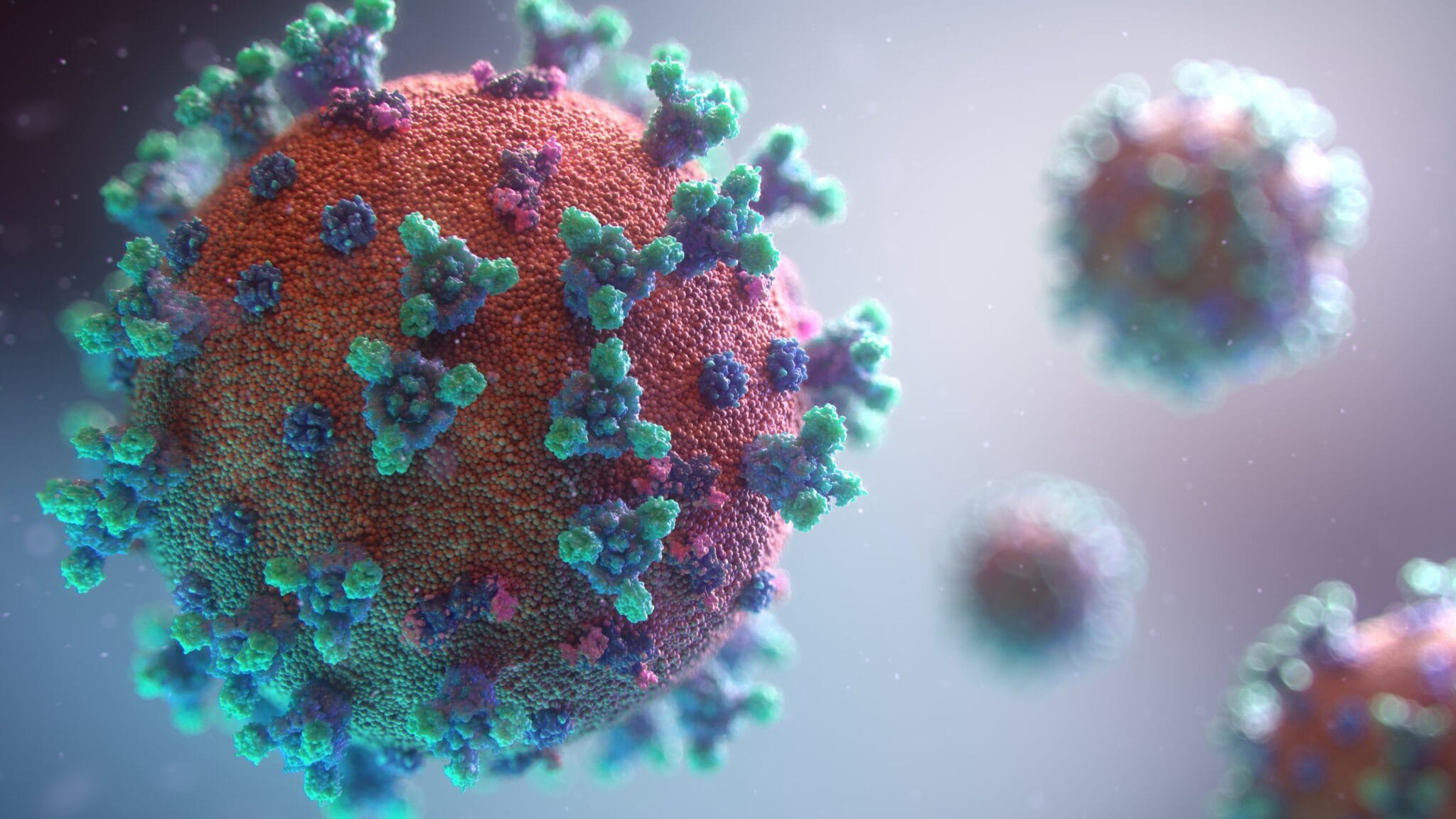 fusion-medical-animation