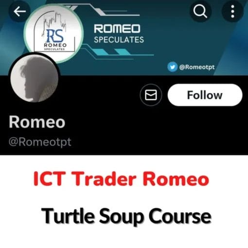 ICT Trader Romeo Turtle Soup Course