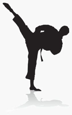Bruce Lee