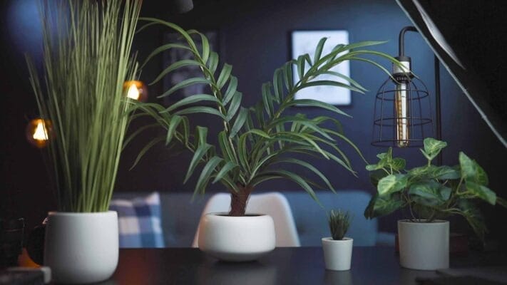 Sales Page - Decoration