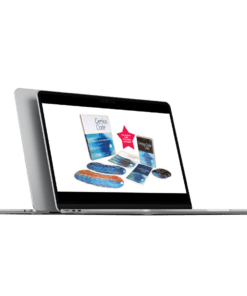 Download Paul R. Scheele and Win Wenger – Genius Code