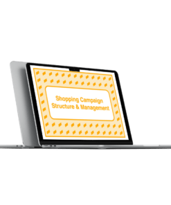 Download Take Some Risk – Shopping Campaign Structure and Management