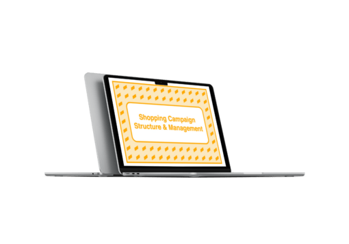 Download Take Some Risk – Shopping Campaign Structure and Management