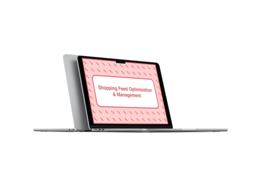 Download Take Some Risk – Shopping Feed Optimization and Management