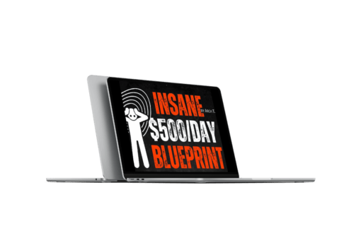 BuySellMethods - INSANE $500 per DAY BLUEPRINT Complete Premium PACK