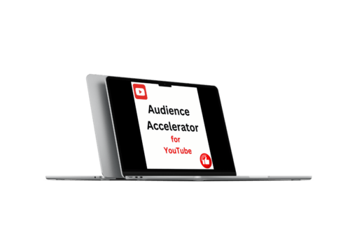 William Lee – Audience Accelerator