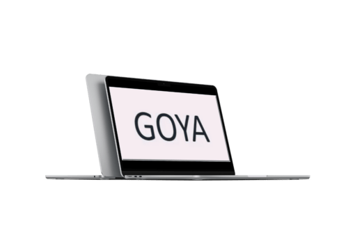 Goya Advanced Course 2023 – Sam9y