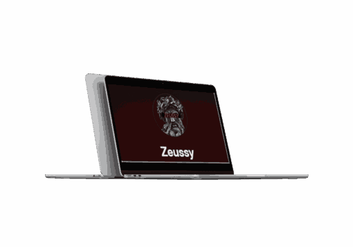 ZEUSSY Mentorship 2024