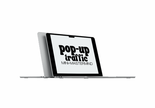 Ryan Lee – Pop-Up Traffic Mini Mastermind
