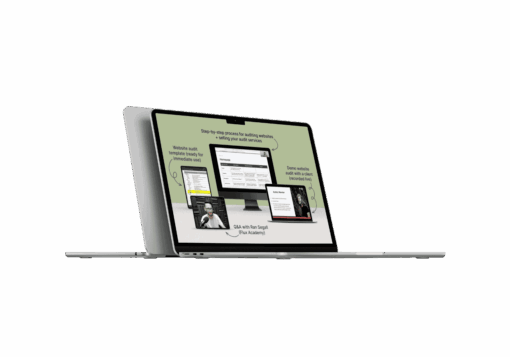 Danbee Shin – Website Audit Masterclass