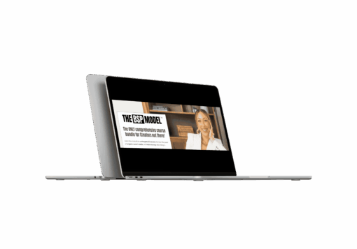 Modern Millie – The BSP Model