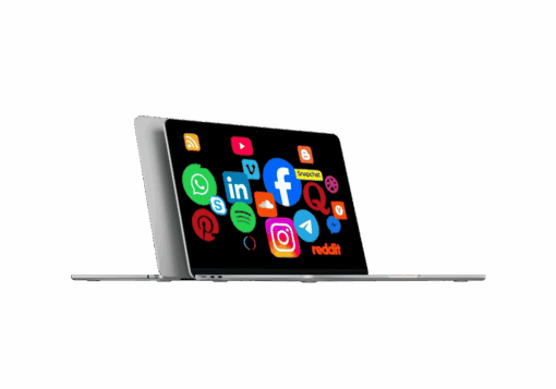 Ultimate Social Media Marketing 2025 + Master 9 Ad Platforms